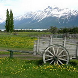 El Calafate - Estancia Nibepo Aike